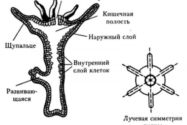 Кракен официальный сайт